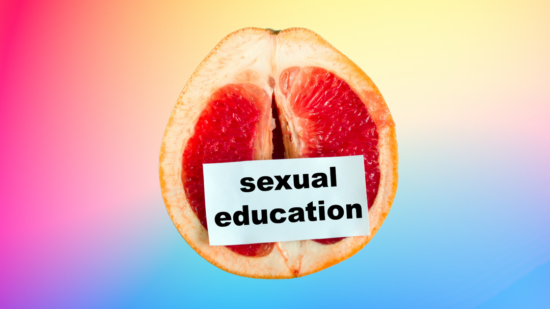 sex education, blog post, vegantoys blog post